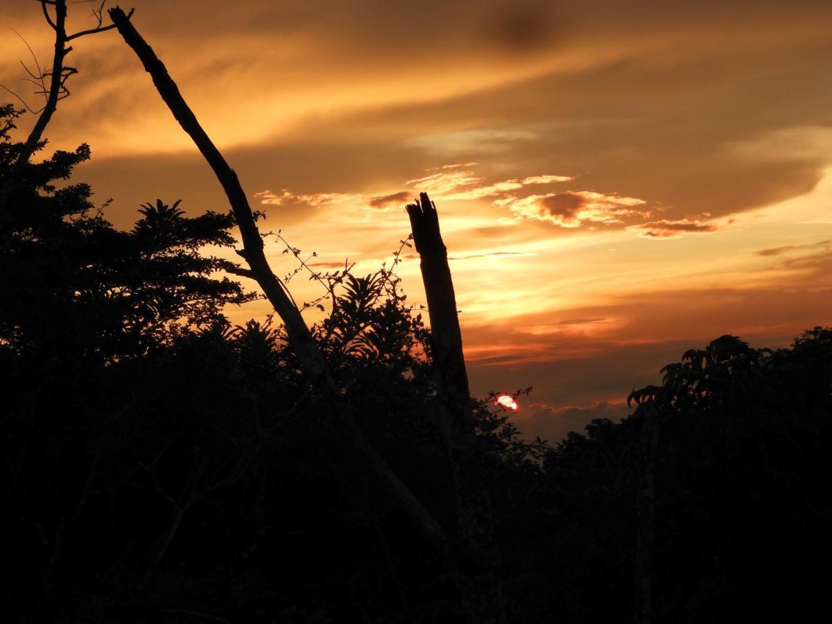Moon Wonders Vacation House Monteverde Exterior foto